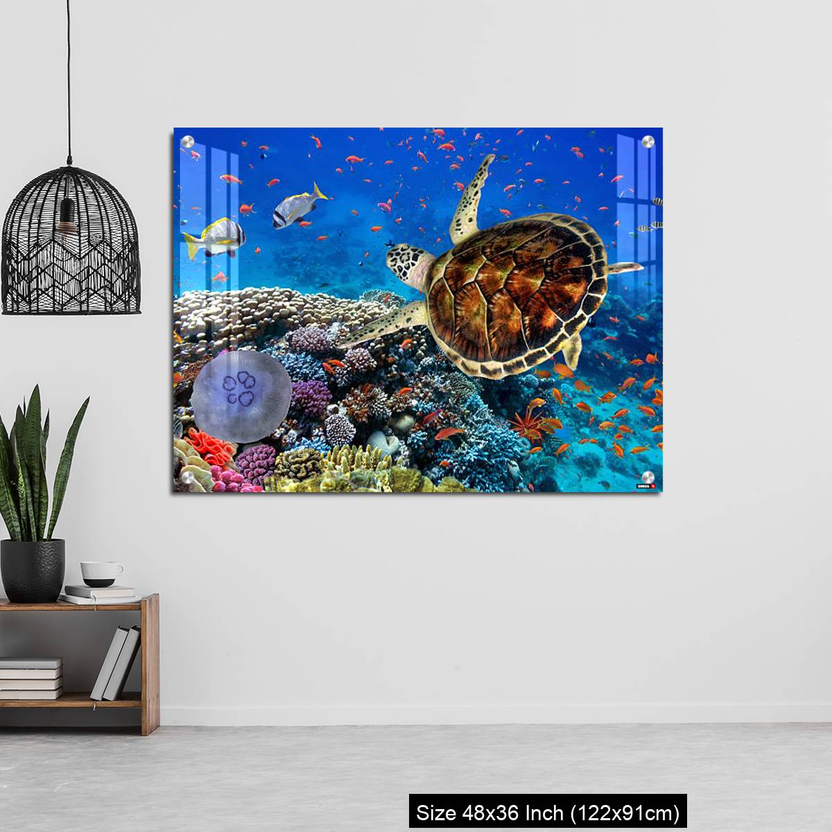 OMGs Acrylic Wall Decor – colorful coral reef with many fishes and sea turtle - Image 6