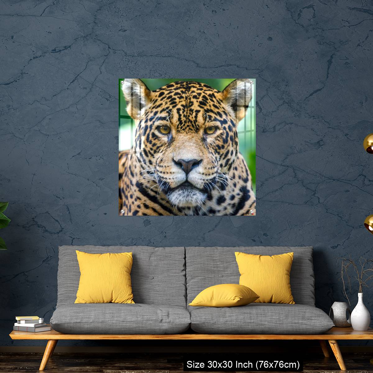 OMGs Acrylic Wall Decor – Jaguar looking at camera - Pantanal wetlands, Brazil - Image 7