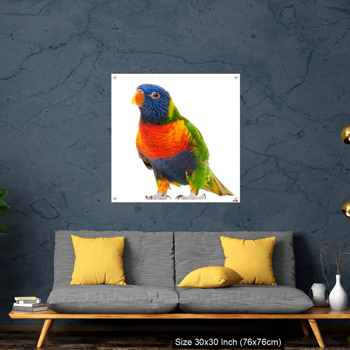 OMGs Acrylic Wall Decor – Rainbow Lorikeet, Trichoglossus haematodus - Image 7