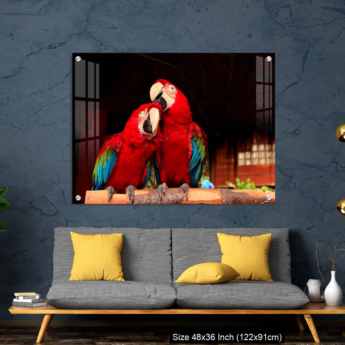 OMGs Acrylic Wall Decor – A  Macaw Bird Teasing His Friend’s Head - Image 7