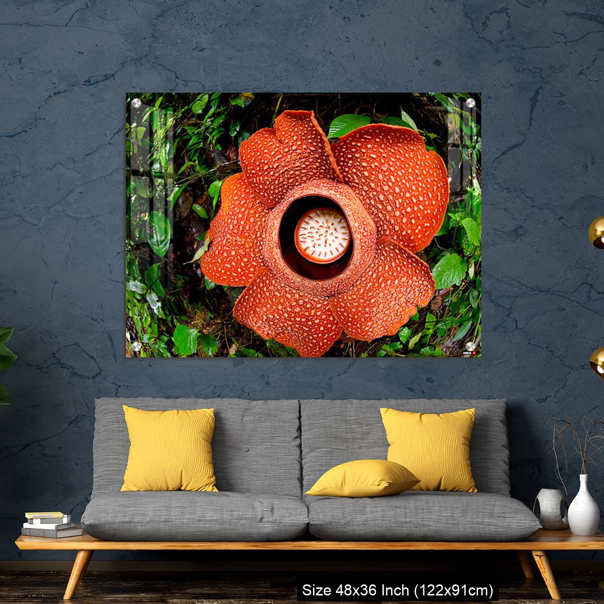 OMGs Acrylic Wall Decor – A beautiful Rafflesia arnoldii bloom in the tropical rainforest of Sumatra - Image 7