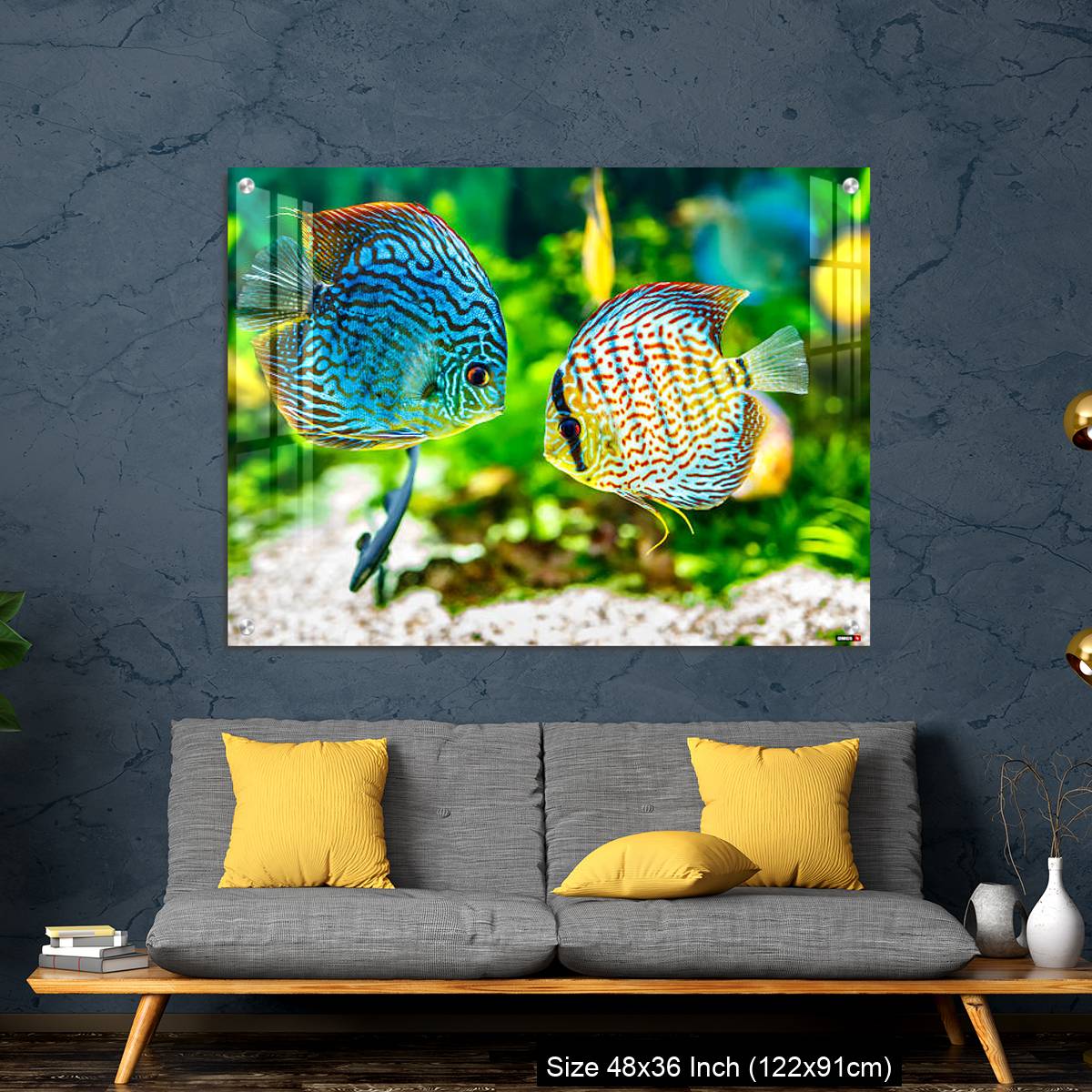 OMGs Acrylic Wall Decor – Aquarium displaying two tropical fish symphsodon discus - Image 7