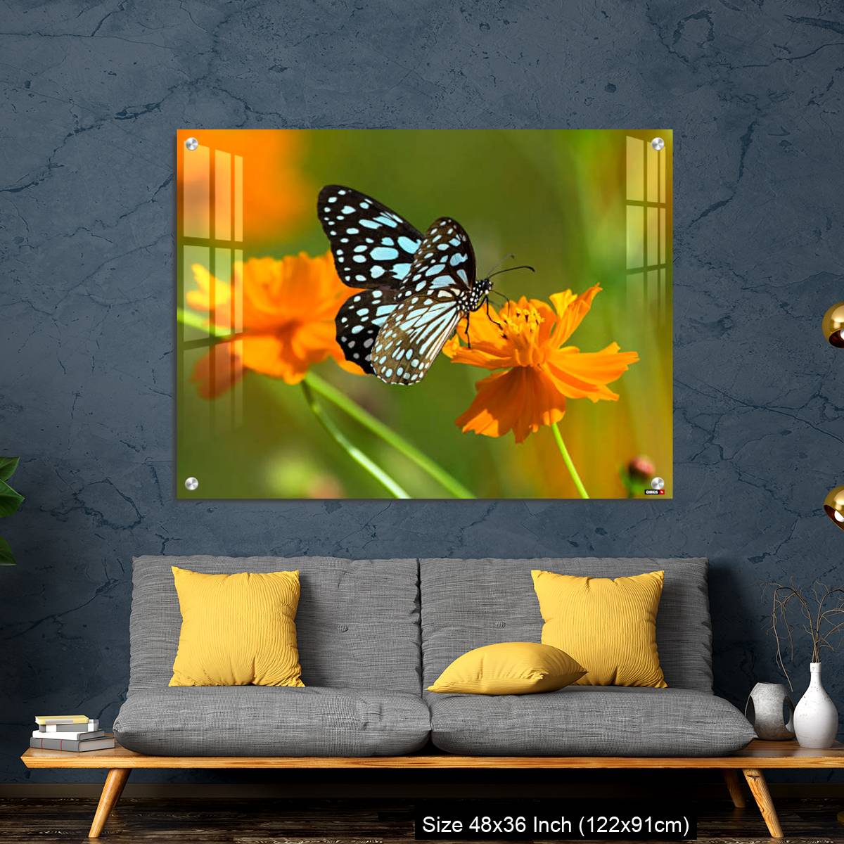 OMGs Acrylic Wall Decor – Blue tiger butterfly or Tirumala limniace on an orange flower - Image 7