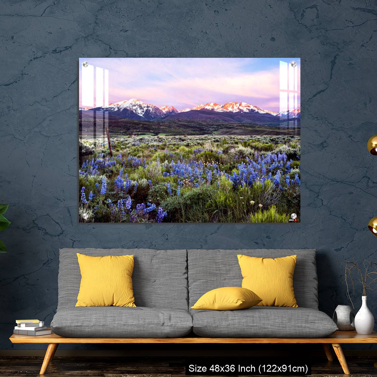 OMGs Acrylic Wall Decor – Colorado wildflowers and the gore range - Image 7