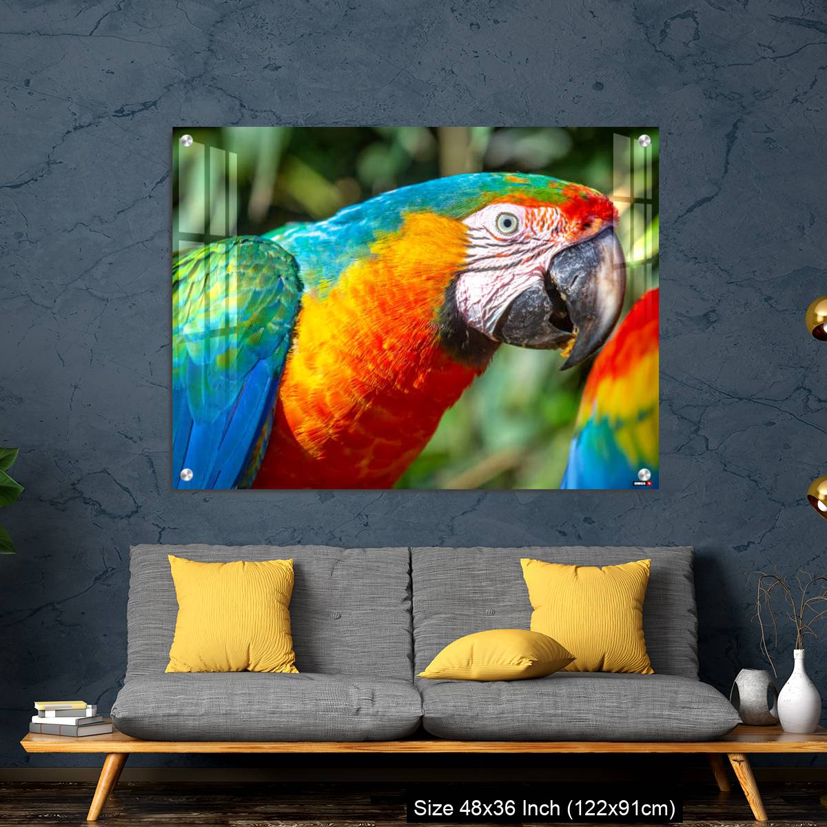 OMGs Acrylic Wall Decor – Colorful Macaw parrot looking at camera in Brazil - Image 7