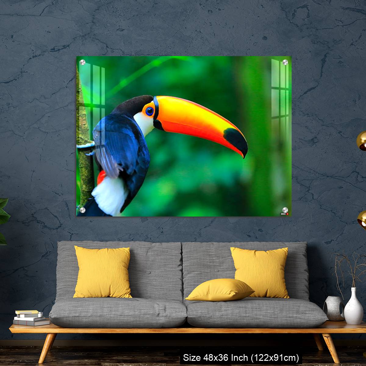OMGs Acrylic Wall Decor – Colorful cute Toucan tropical bird - Image 7