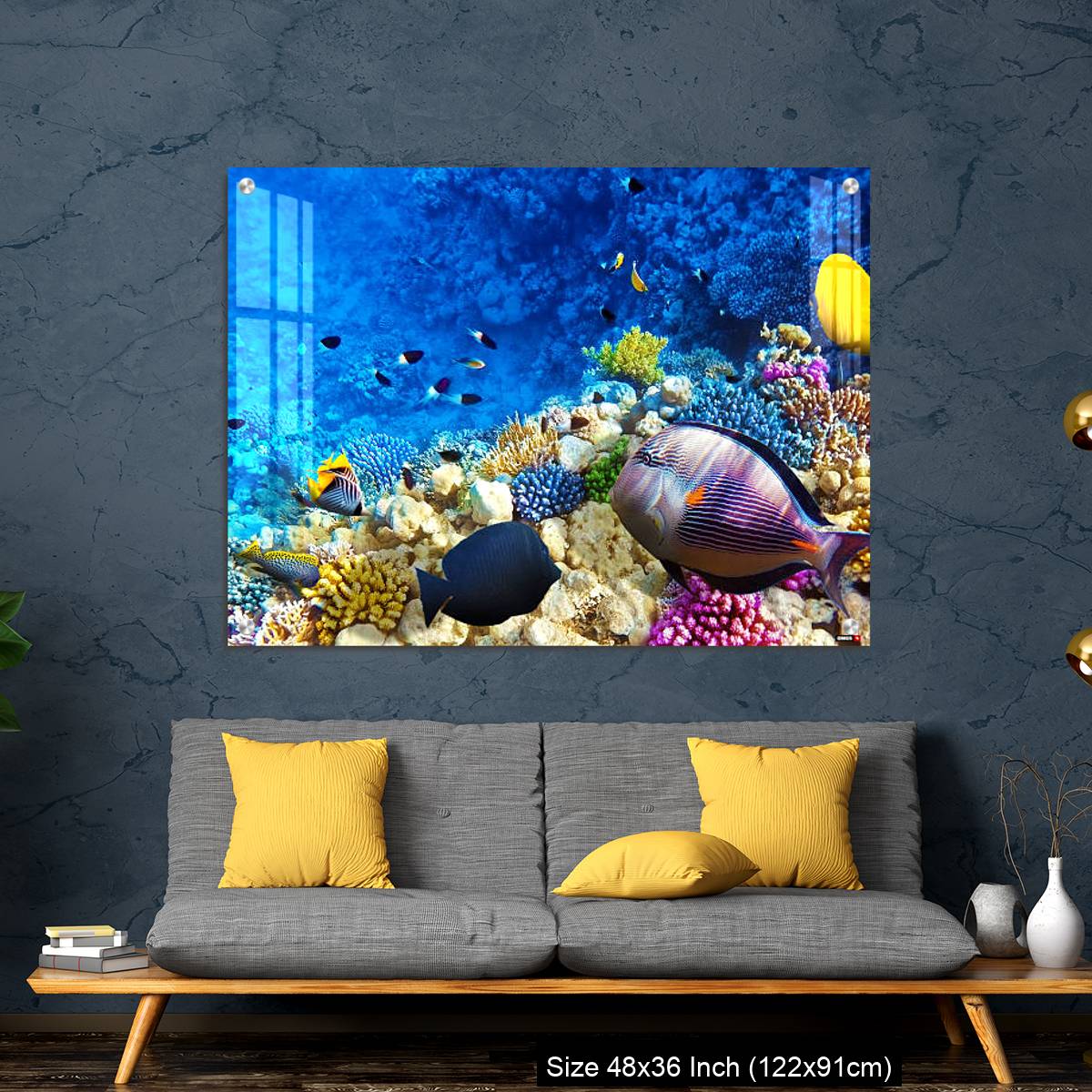 OMGs Acrylic Wall Decor – Coral and fish in the Red Sea. Egypt, Africa. - Image 7