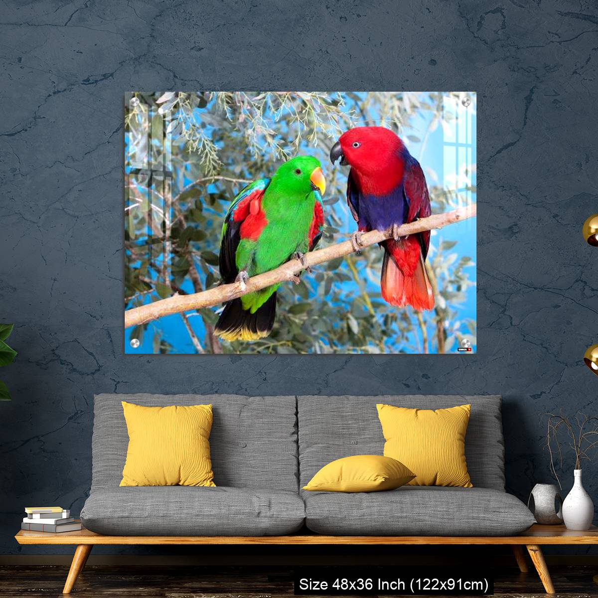 OMGs Acrylic Wall Decor – Eclectus Parrot, eclectus roratus, Pair standing on Branch, Male (green) and Female (Red) - Image 7