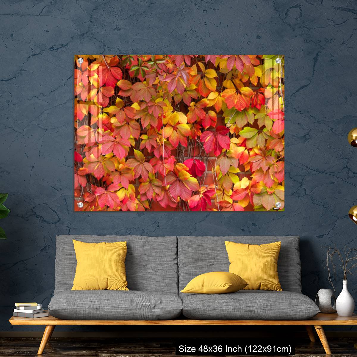 OMGs Acrylic Wall Decor – False Virginia creeper Parthenocissus inserta foliage in autumn colors - Image 7