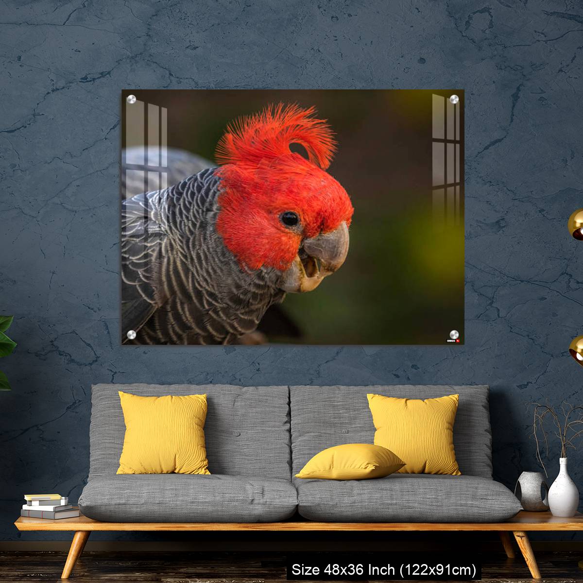 OMGs Acrylic Wall Decor – Gang-gang Cockatoo male eating food in a garden - Image 7