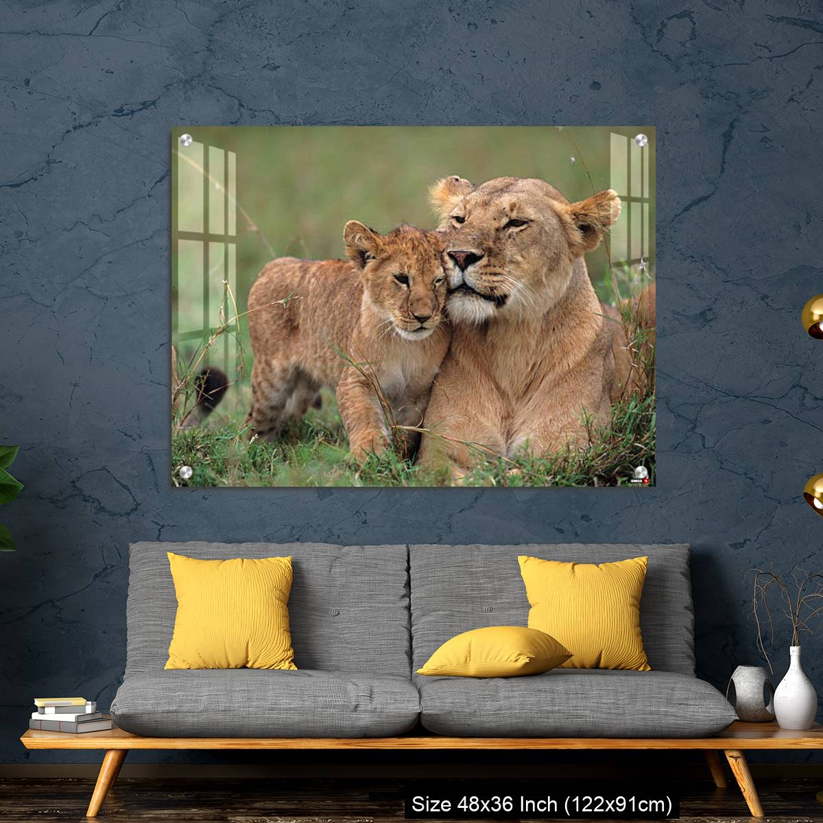 OMGs Acrylic Wall Decor – Lioness (Panthera leo) with cubs lying on grass, Kenya - Image 7