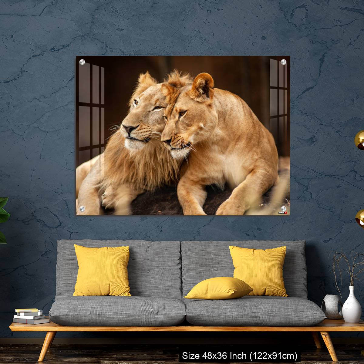 OMGs Acrylic Wall Decor – Male and Female Lions  lying down together on the ground - Image 7