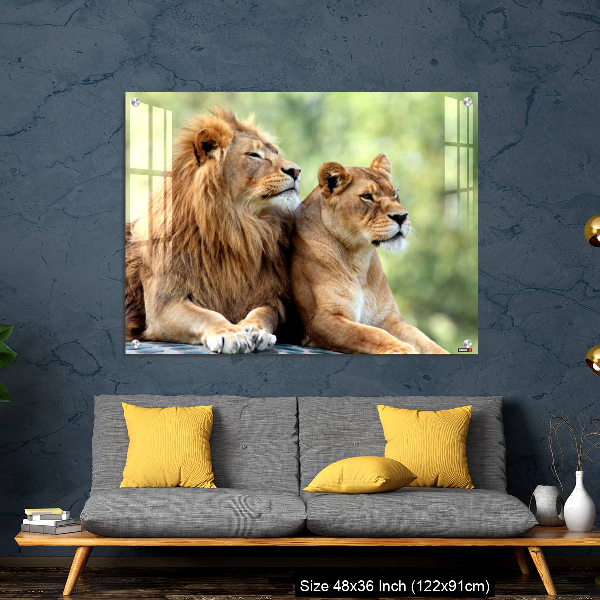 OMGs Acrylic Wall Decor – Pair of adult Lions in zoological garden - Image 7
