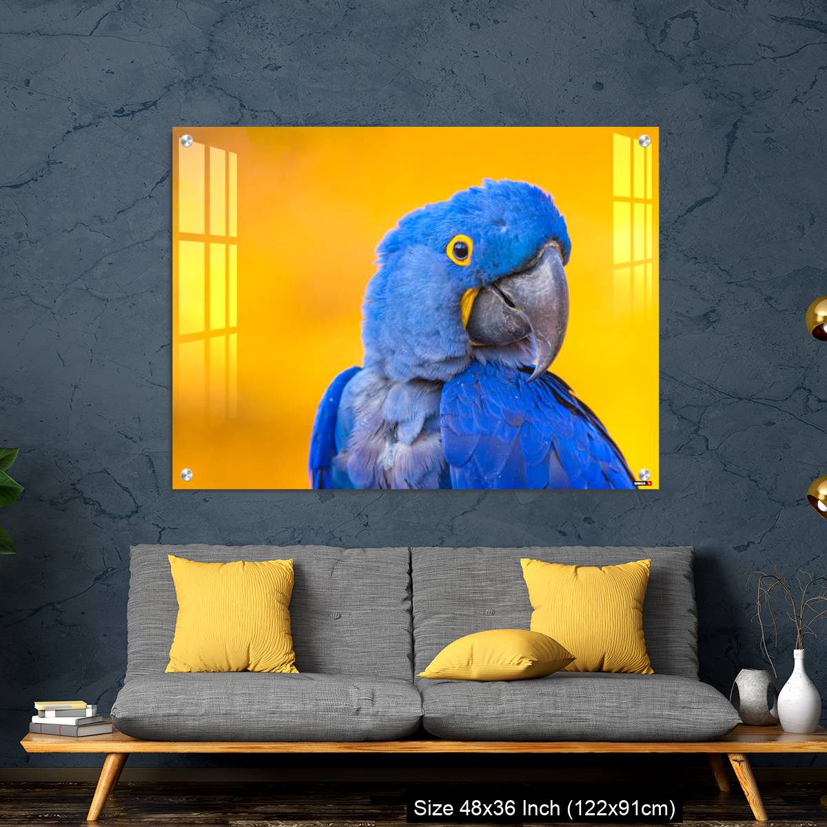 OMGs Acrylic Wall Decor – Portrait of big blue parrot Hyacinth Macaw - Image 7