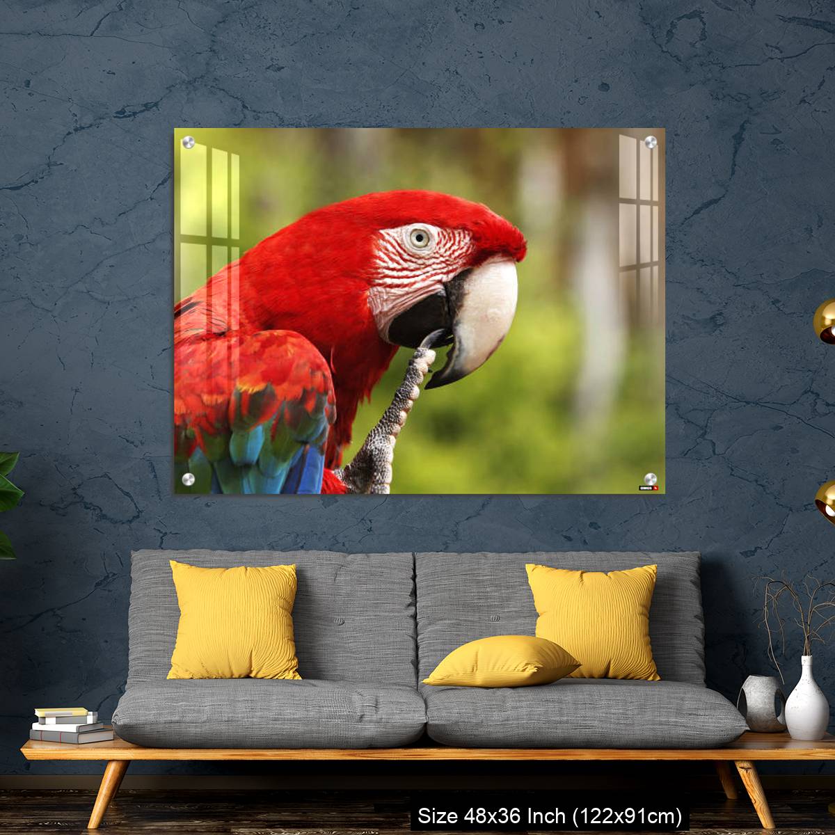 OMGs Acrylic Wall Decor – Red-and-Green Macaw, ara chloroptera, Portrait of Adult - Image 7