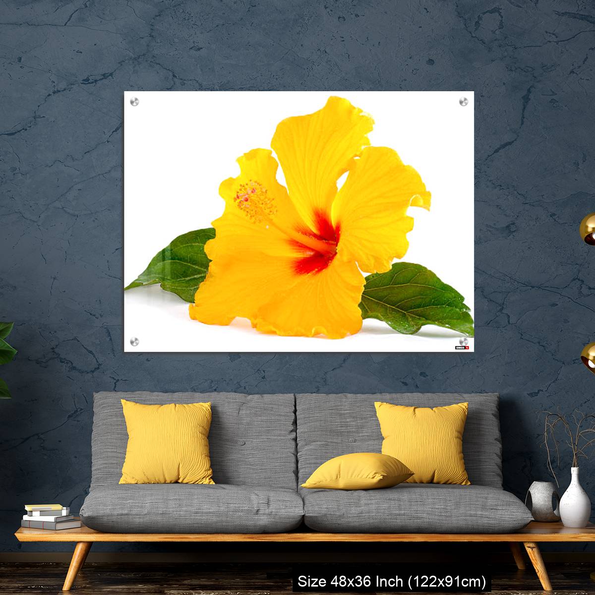 OMGs Acrylic Wall Decor – Tropical Yellow Hibiscus Flower isolated on white - Image 7