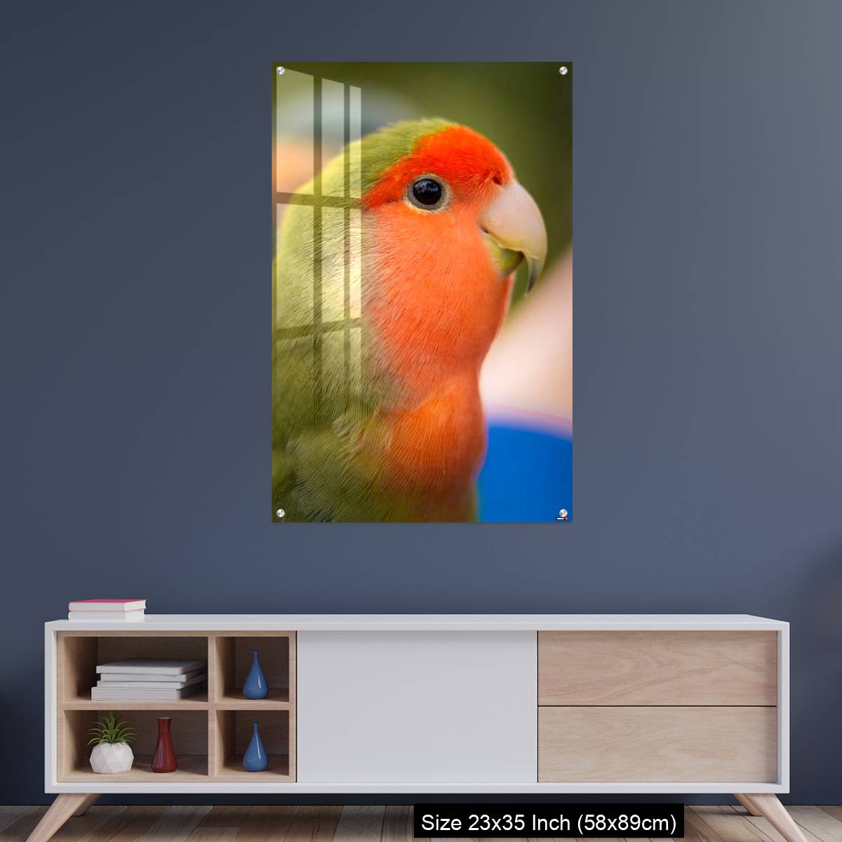 OMGs Acrylic Wall Decor – Vibrant rosy-faced lovebird - Image 8