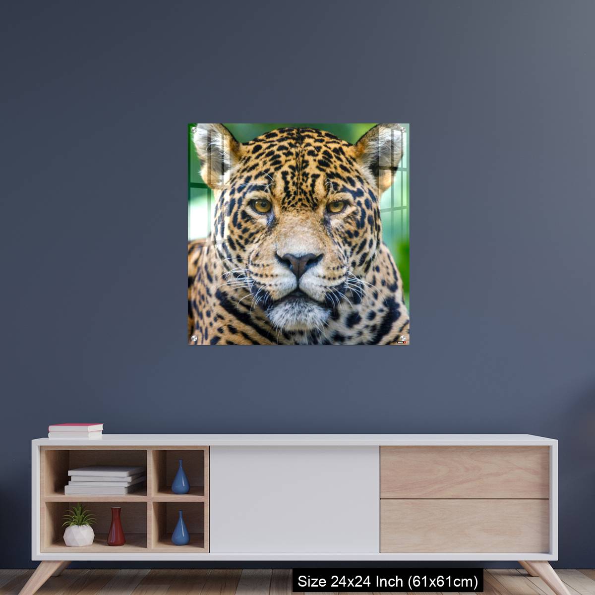 OMGs Acrylic Wall Decor – Jaguar looking at camera - Pantanal wetlands, Brazil - Image 8