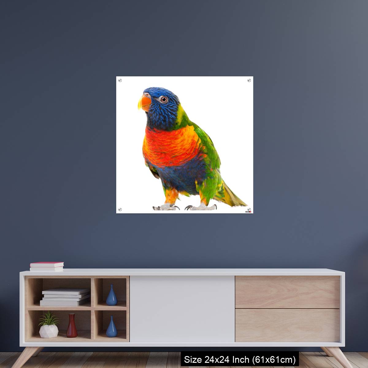 OMGs Acrylic Wall Decor – Rainbow Lorikeet, Trichoglossus haematodus - Image 8