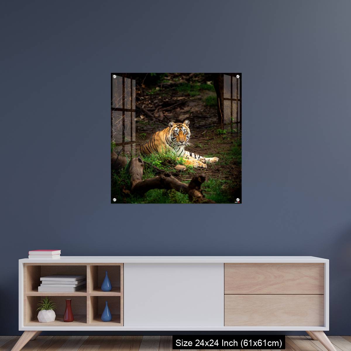 OMGs Acrylic Wall Decor – wild bengal male tiger - Image 8