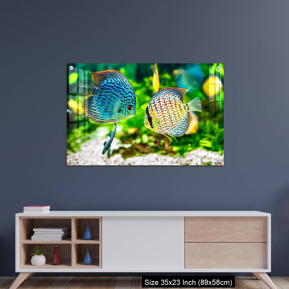 OMGs Acrylic Wall Decor – Aquarium displaying two tropical fish symphsodon discus - Image 8