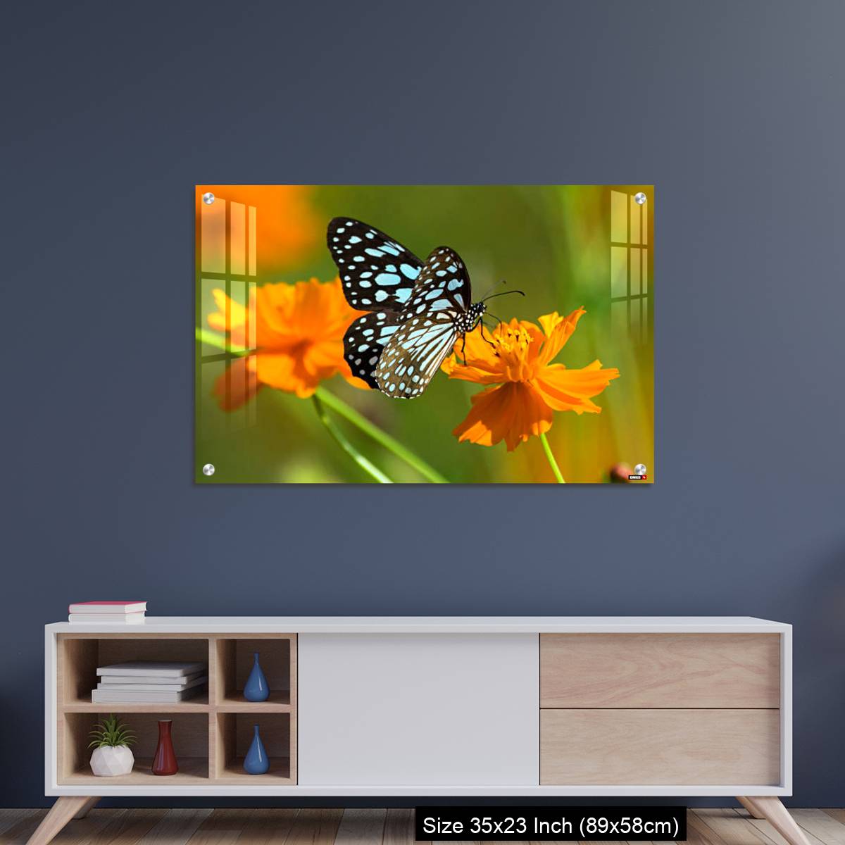 OMGs Acrylic Wall Decor – Blue tiger butterfly or Tirumala limniace on an orange flower - Image 8