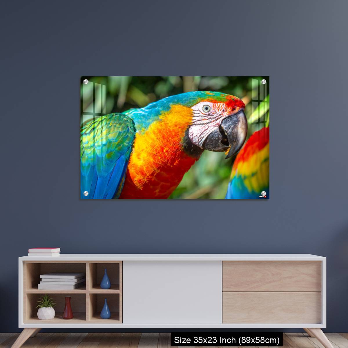 OMGs Acrylic Wall Decor – Colorful Macaw parrot looking at camera in Brazil - Image 8