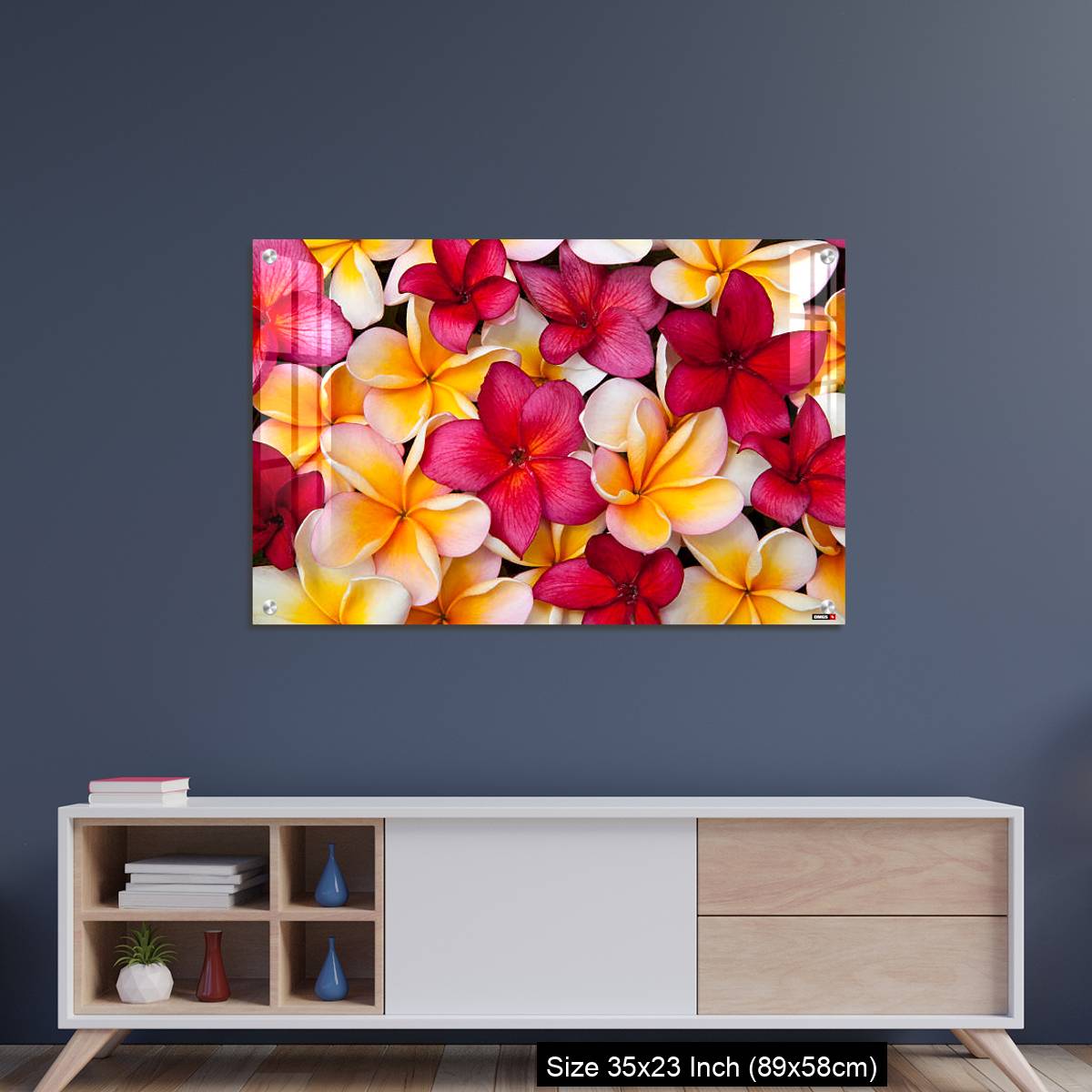 OMGs Acrylic Wall Decor – Colorful Pulmeria (or Frangipani) flowers - Image 8