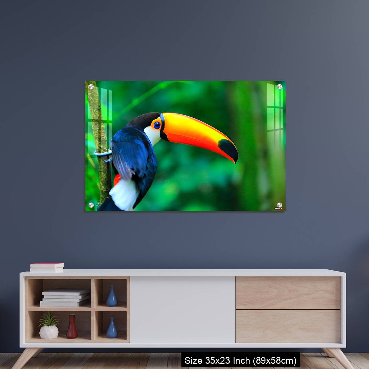 OMGs Acrylic Wall Decor – Colorful cute Toucan tropical bird - Image 8