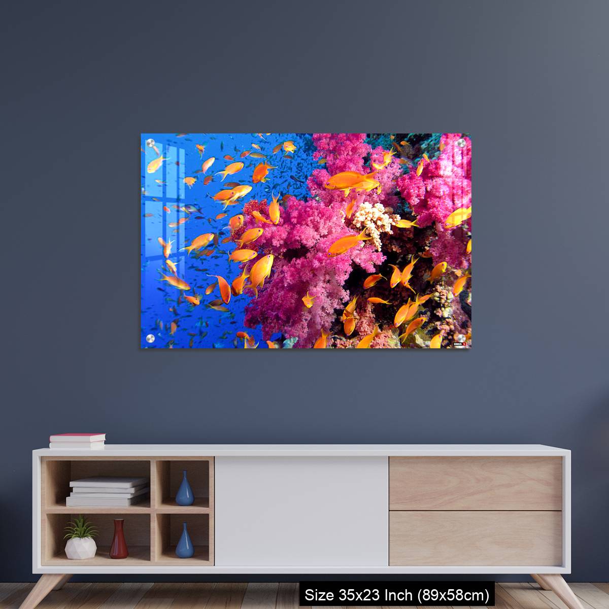 OMGs Acrylic Wall Decor – Colorful underwater picture of a coral reef, with goldfish - Image 8