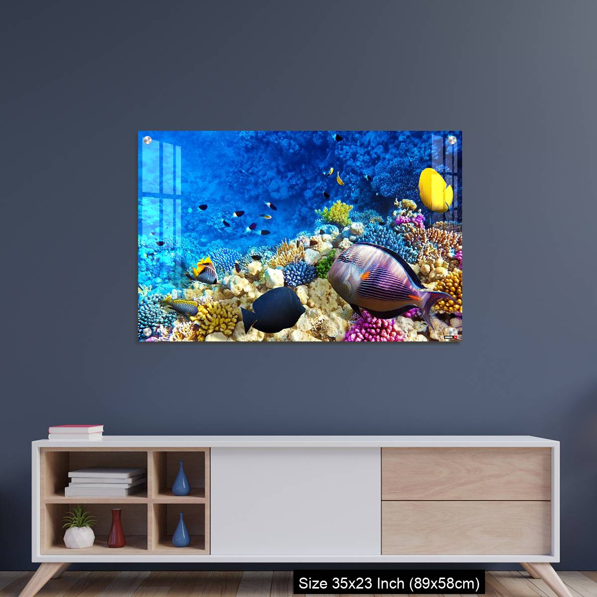 OMGs Acrylic Wall Decor – Coral and fish in the Red Sea. Egypt, Africa. - Image 8
