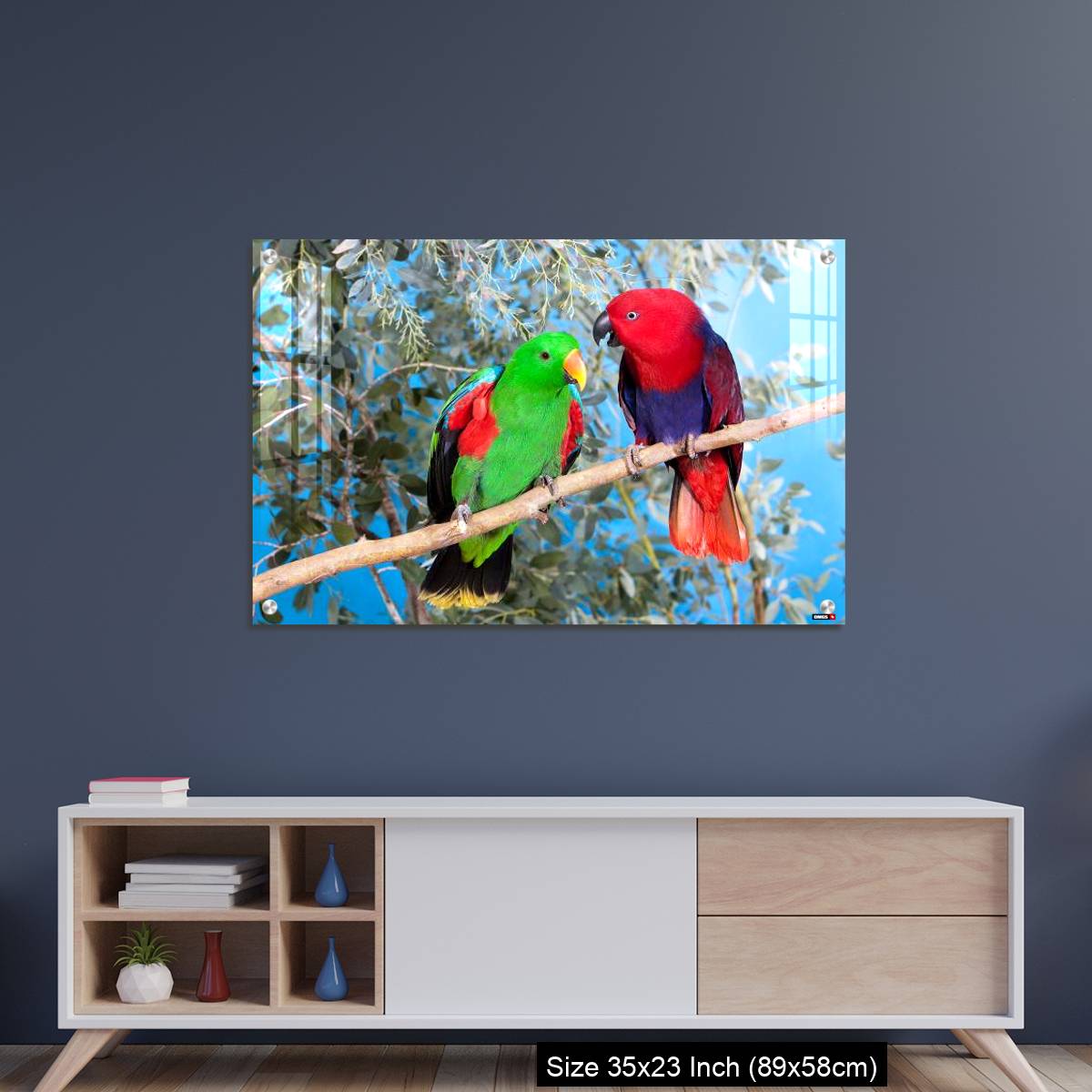 OMGs Acrylic Wall Decor – Eclectus Parrot, eclectus roratus, Pair standing on Branch, Male (green) and Female (Red) - Image 8