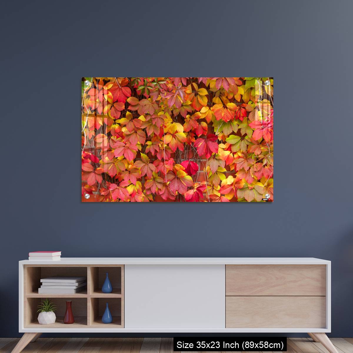 OMGs Acrylic Wall Decor – False Virginia creeper Parthenocissus inserta foliage in autumn colors - Image 8