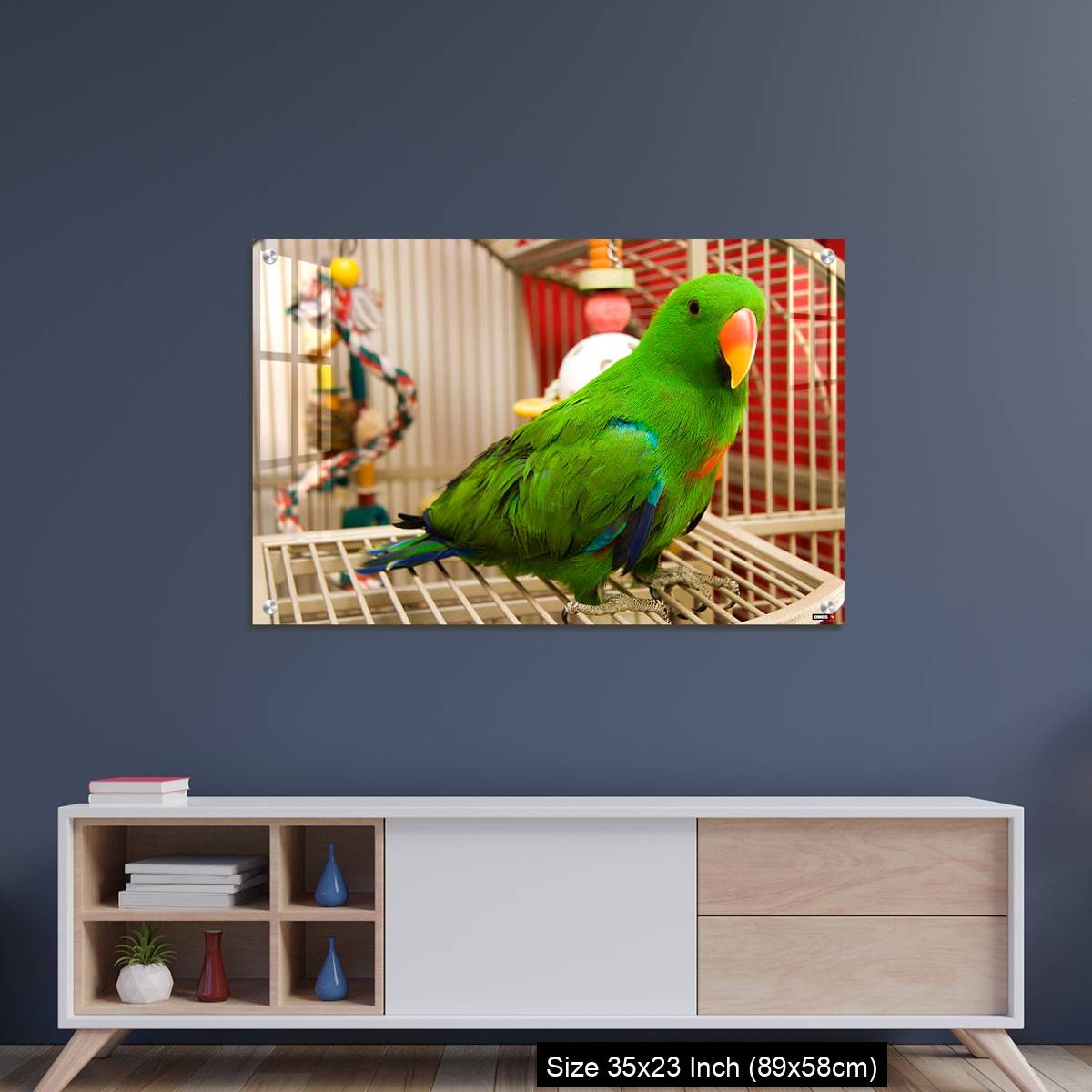 OMGs Acrylic Wall Decor – Green parrot perched on the open door of its cage - Image 8