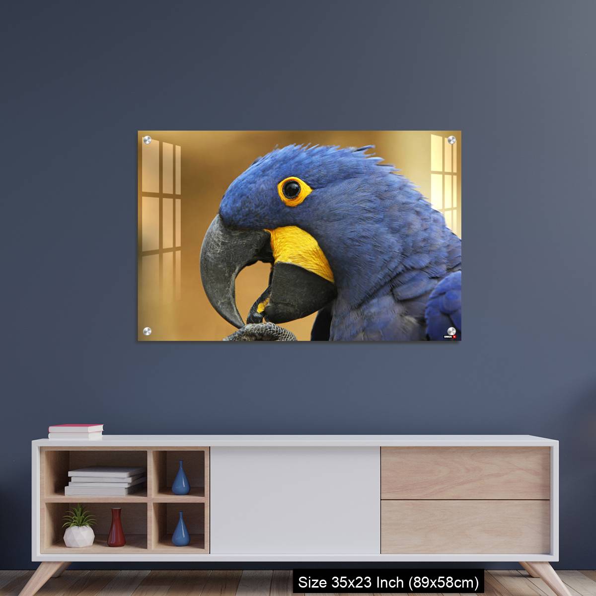 OMGs Acrylic Wall Decor – Hyacinth Macaw, anodorhynchus hyacinthinus, portrait of Adult with open Beak - Image 8