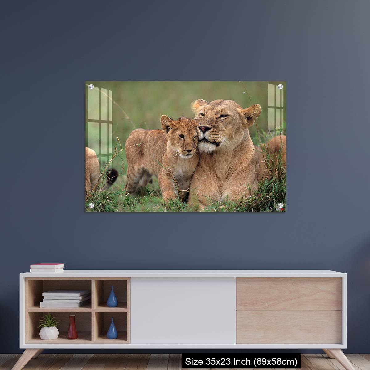 OMGs Acrylic Wall Decor – Lioness (Panthera leo) with cubs lying on grass, Kenya - Image 8