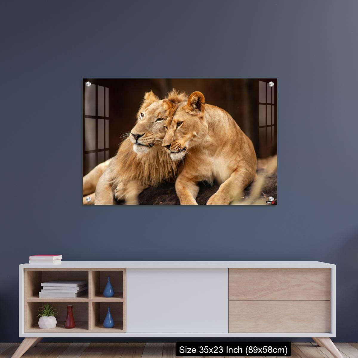 OMGs Acrylic Wall Decor – Male and Female Lions  lying down together on the ground - Image 8