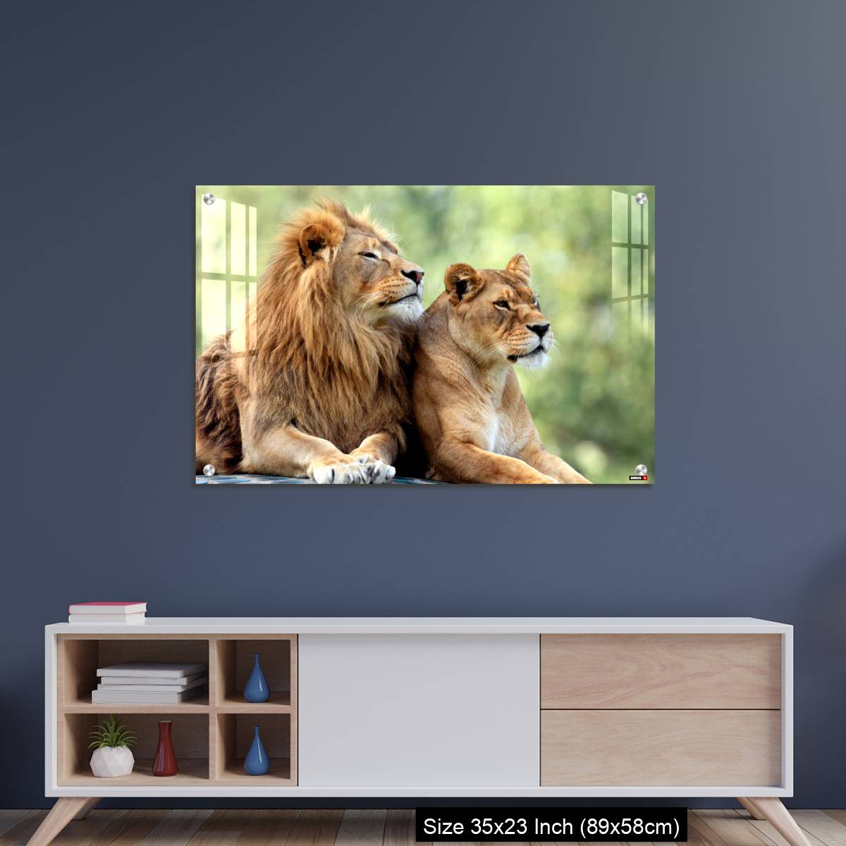 OMGs Acrylic Wall Decor – Pair of adult Lions in zoological garden - Image 8