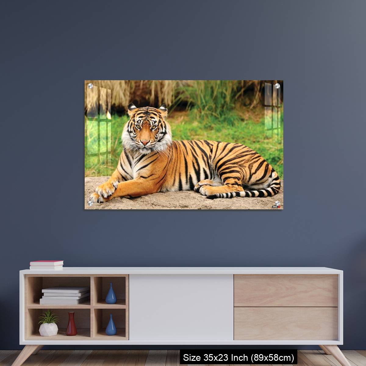OMGs Acrylic Wall Decor – Royal Bengal Tiger alert and Staring at the Camera - Image 8