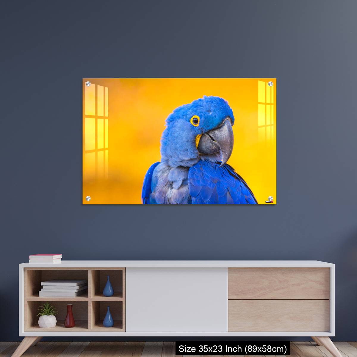 OMGs Acrylic Wall Decor – Portrait of big blue parrot Hyacinth Macaw - Image 8