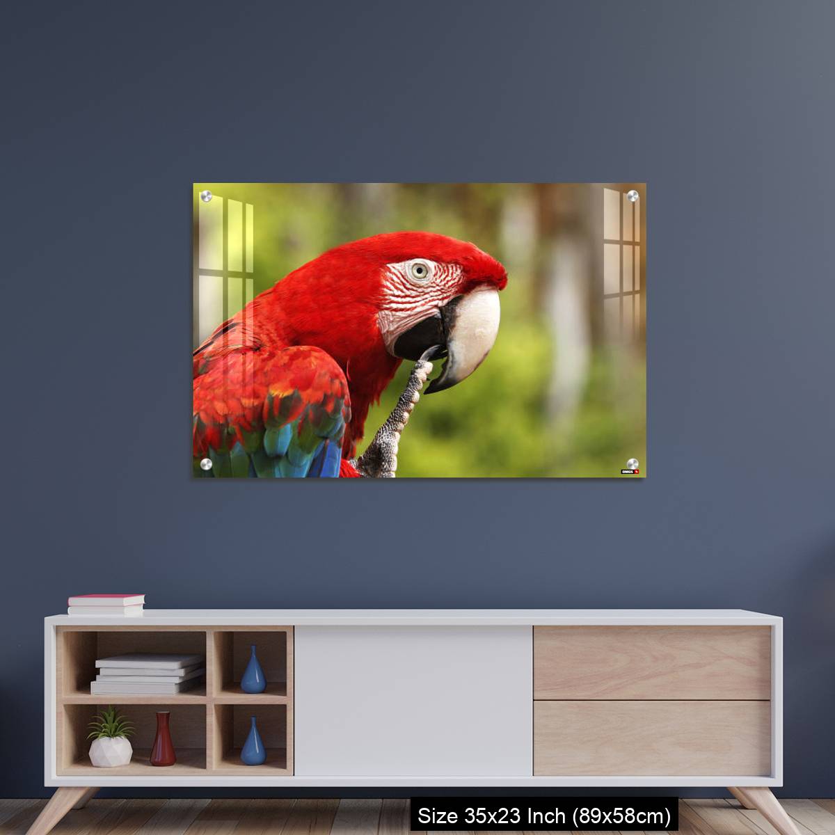 OMGs Acrylic Wall Decor – Red-and-Green Macaw, ara chloroptera, Portrait of Adult - Image 8
