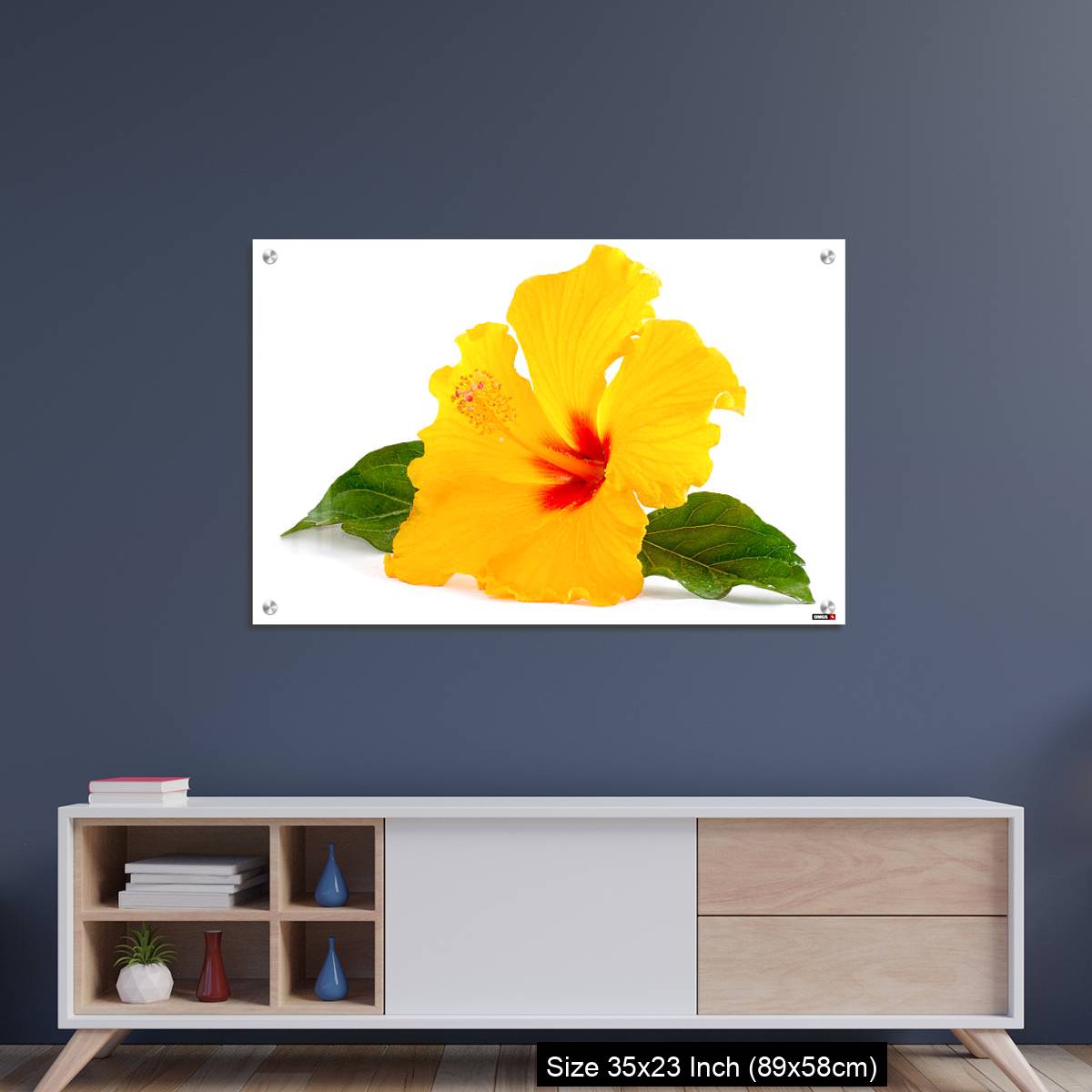 OMGs Acrylic Wall Decor – Tropical Yellow Hibiscus Flower isolated on white - Image 8