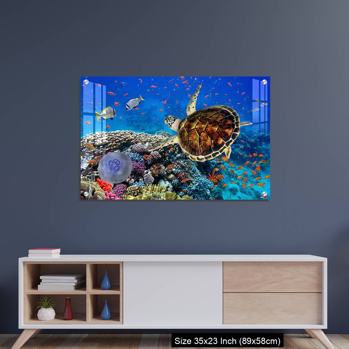 OMGs Acrylic Wall Decor – colorful coral reef with many fishes and sea turtle - Image 8