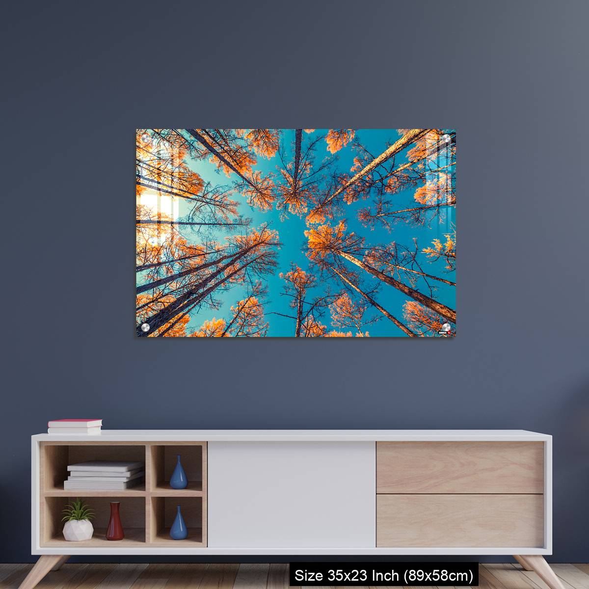 OMGs Acrylic Wall Decor – looking up at trees and clear blue sky - Image 8