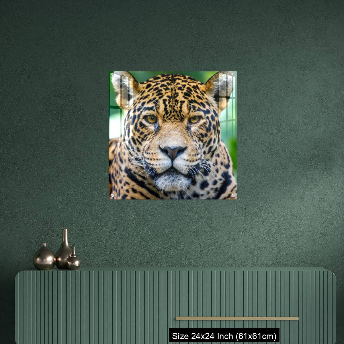 OMGs Acrylic Wall Decor – Jaguar looking at camera - Pantanal wetlands, Brazil - Image 9