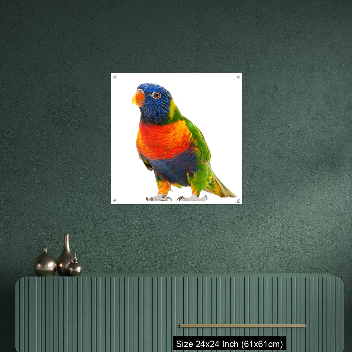 OMGs Acrylic Wall Decor – Rainbow Lorikeet, Trichoglossus haematodus - Image 9