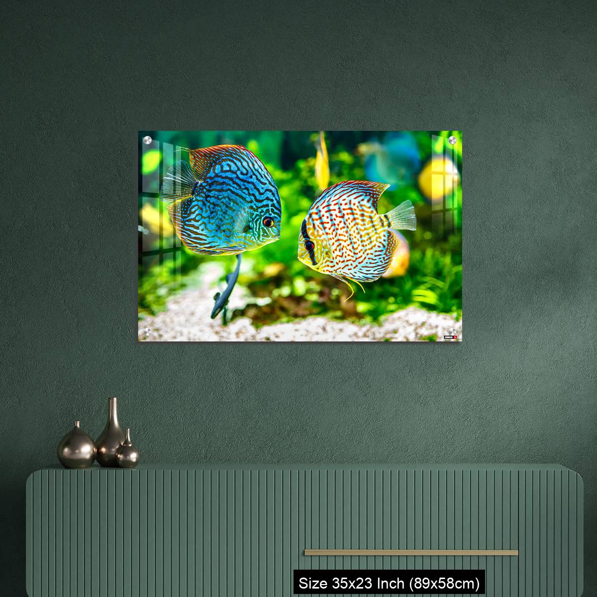 OMGs Acrylic Wall Decor – Aquarium displaying two tropical fish symphsodon discus - Image 9