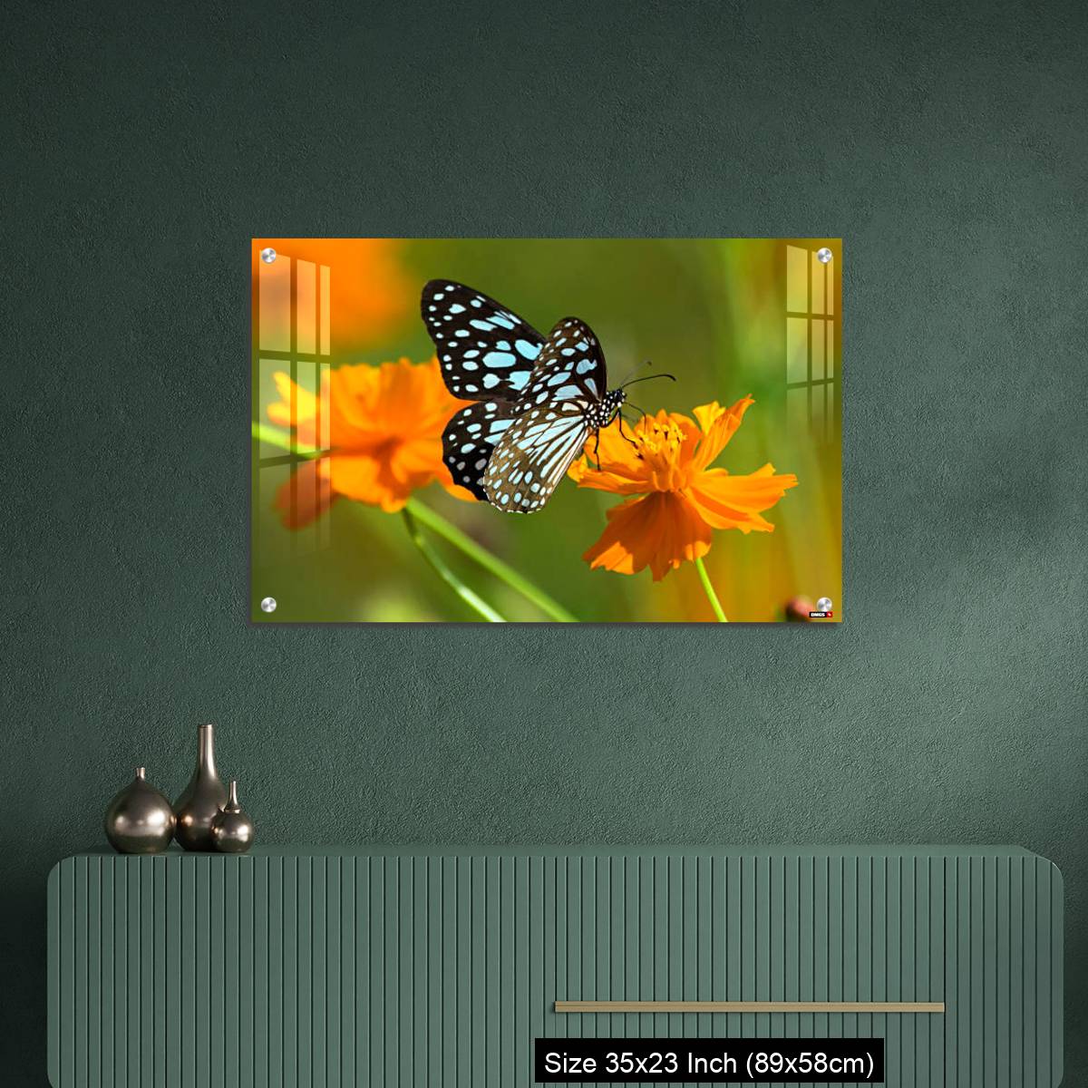 OMGs Acrylic Wall Decor – Blue tiger butterfly or Tirumala limniace on an orange flower - Image 9