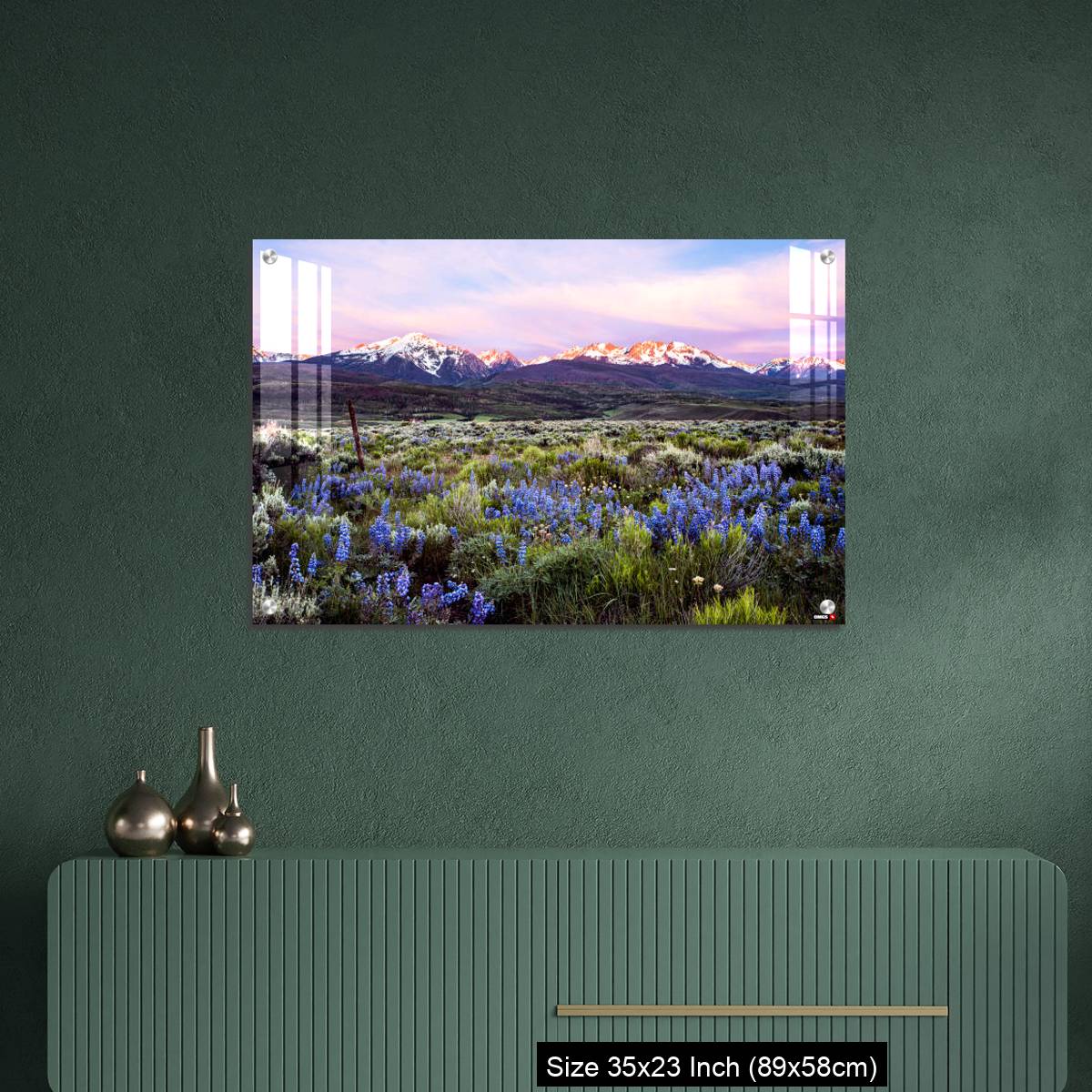 OMGs Acrylic Wall Decor – Colorado wildflowers and the gore range - Image 9