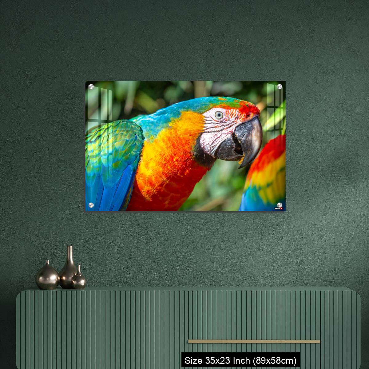 OMGs Acrylic Wall Decor – Colorful Macaw parrot looking at camera in Brazil - Image 9
